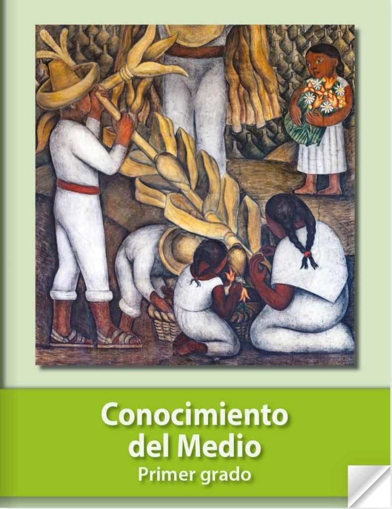 PRIMER GRADO CONOCIMIENTO DEL MEDIO